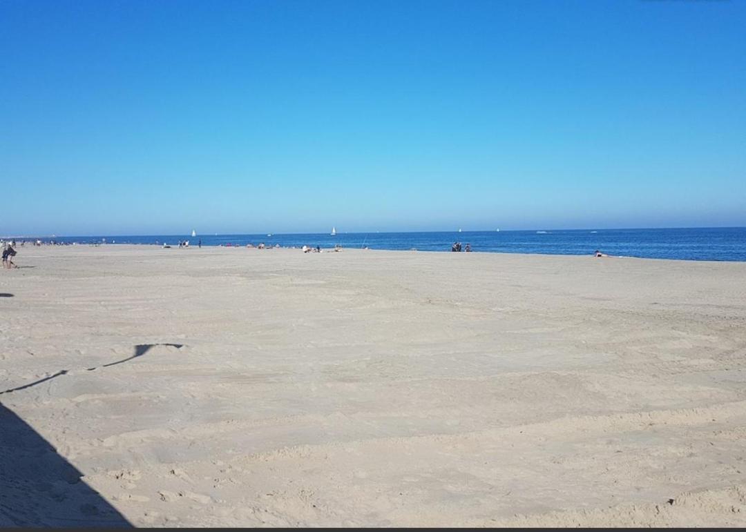 Appart Face A La Mer Les Pieds Dans L'Eau Canet-en-Roussillon Buitenkant foto